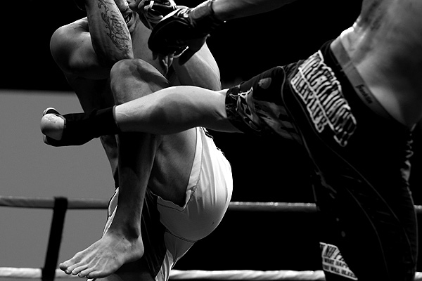 WebFighters-proponites