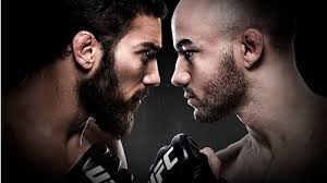 WebFighters-athletes